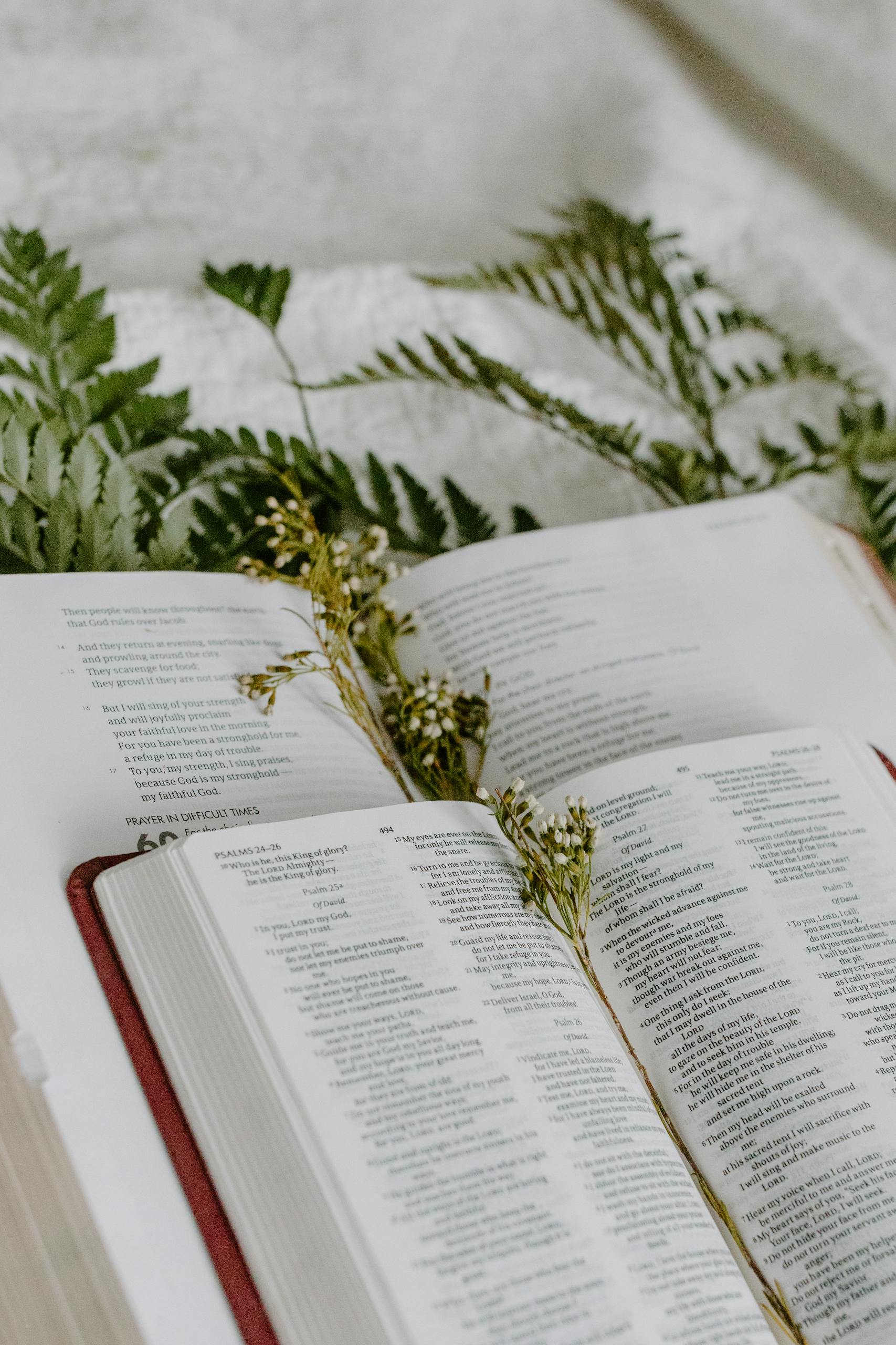 Open Bible pages adorned with dried flowers and fern leaves, creating a peaceful spiritual scene.